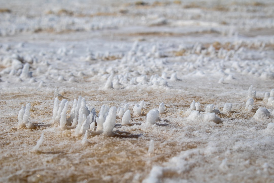 塩の浄化力について